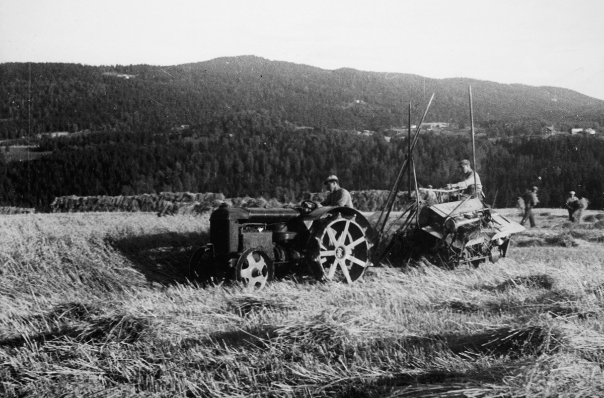 Rør gård,gnr. 202, bnr. 1.  Veldre, skuronn 1943. Tore Røhr og Anders Røhr kjører selvbinder trukket av Fordson traktor, 1936 modell, gårdens første traktor.