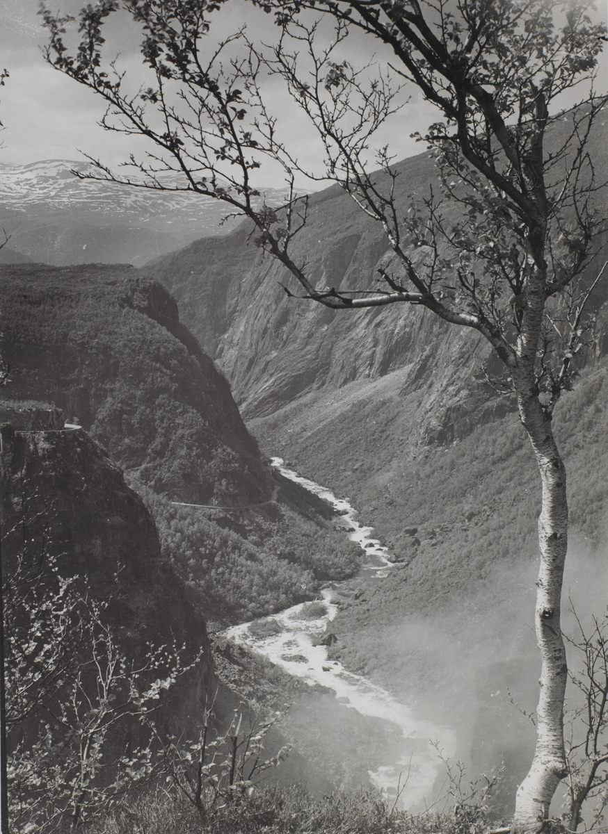 Måkødalen ? (Vanskelig å lese påskrift)