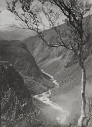 Måkødalen ? (Vanskelig å lese påskrift)