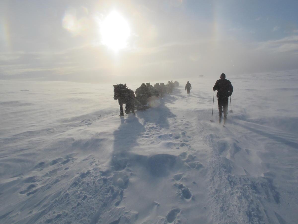 Klima- og værforhold - Verdensarven Røros