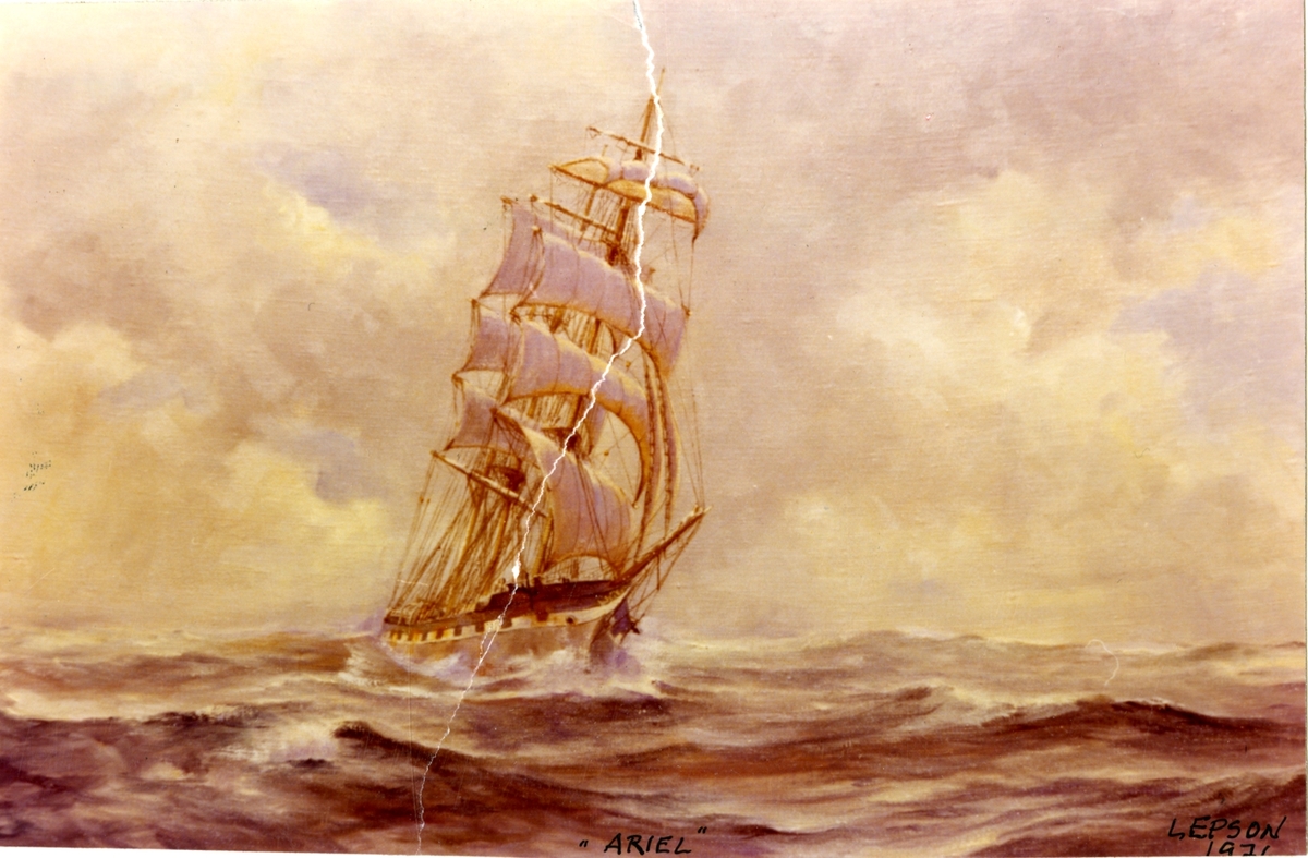 Maleri av bark 'Ariel' (b.1892, A. McMillan & Son, Dumbarton)