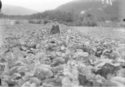 Mathias Bruheim (f. 1882) og Tora Mathilde Bruheim (f. 1920 