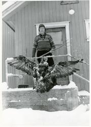 Erik Hardhaug Skogstad med ein ørn som han slo ihjel fordi d