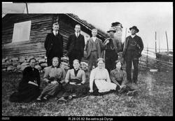 Bøsetra på Dynje i Ringebu.