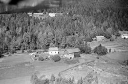 Lillehammer, Fåberg. Bruket heter Haugen og ble i 1959 antag