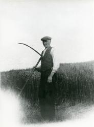 Petter Kleven under ein ljåslått på Brattrudsetra i 1930-åre