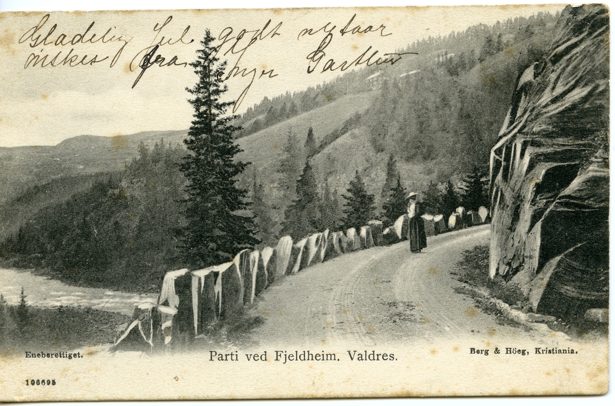 Postkort med motiv fra Sør-Aurdal. Nord for Fjellheim, med nedre Jukam i bakgrunnen.