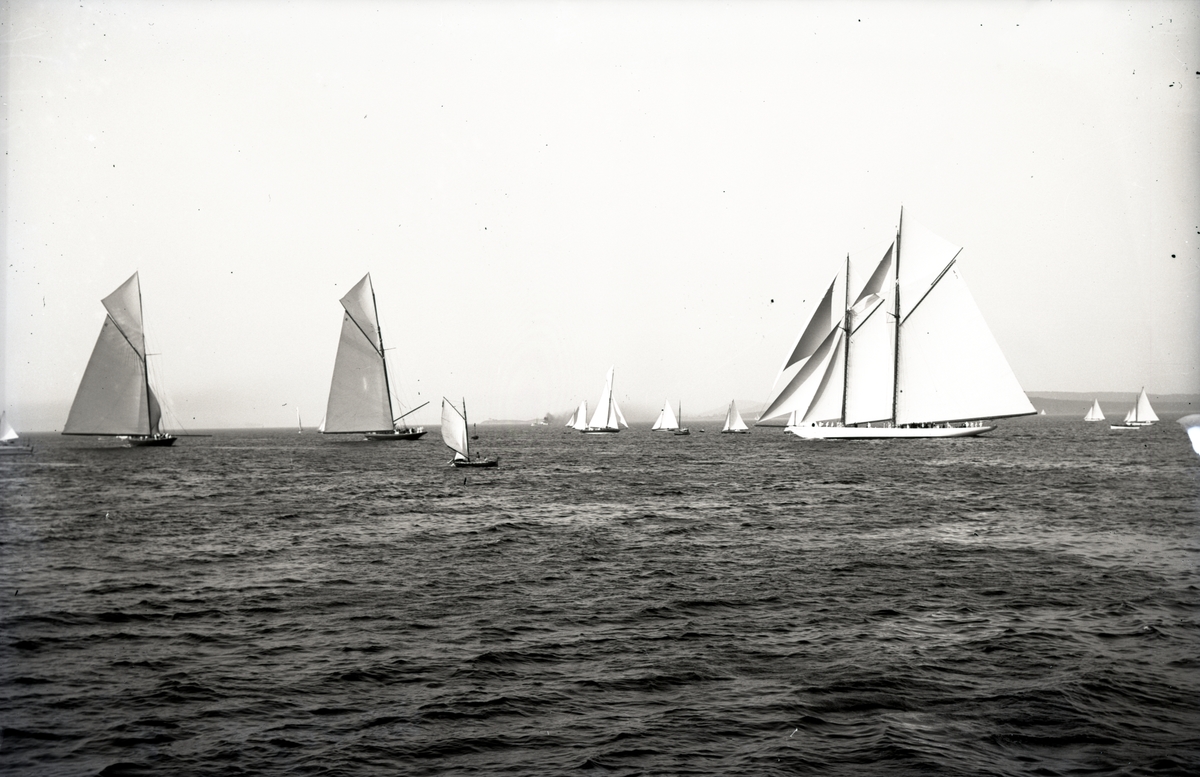 Seilbåter i regatta. 'Hamburg 2', 'Germania'  og 'Meteor' i Horten under jubileumsregattaen i 1914