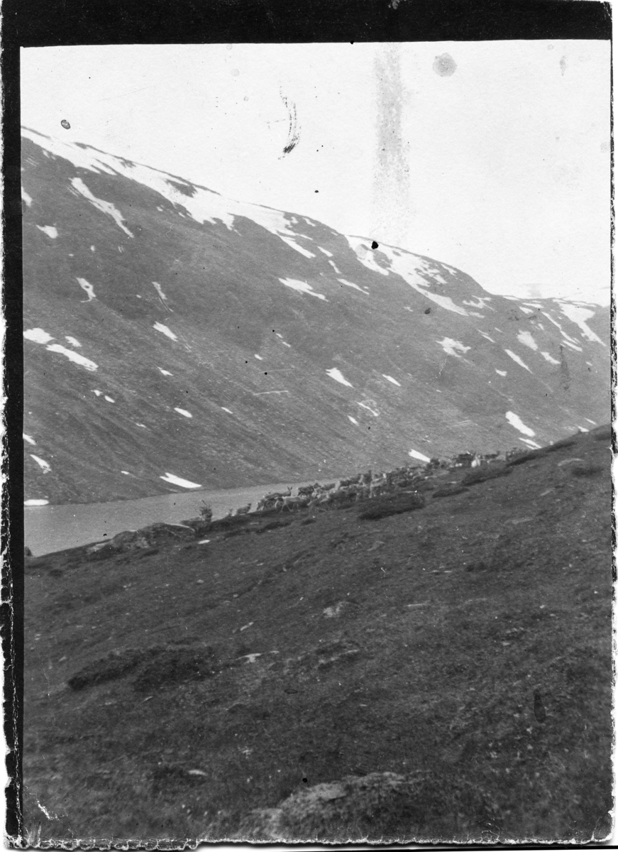 John Bauers Lapplandsresa sommaren 1904. Vy över sjön vid Kårsajökeln, norra sidan av Håikantatjåkka och renar på fjällsluttningen.