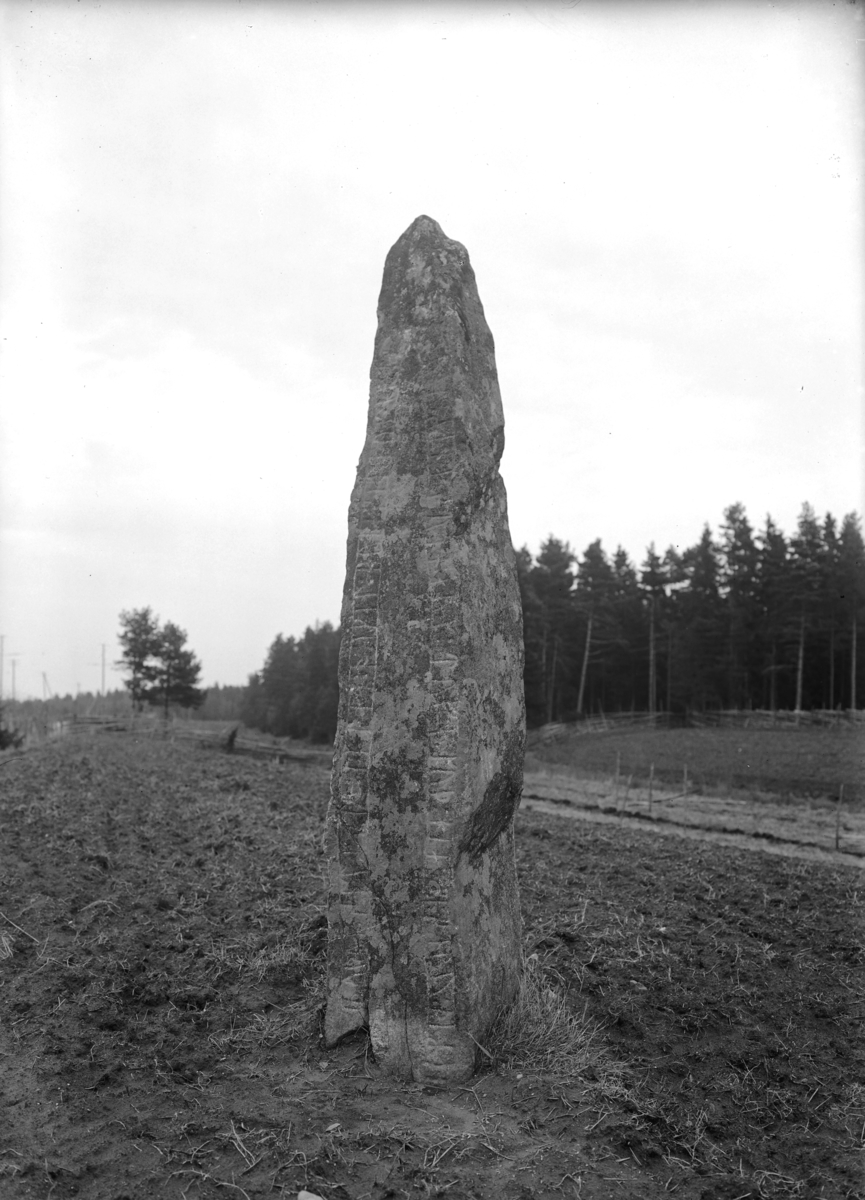 Runstenen "Runemostenen" vid Värnamo.