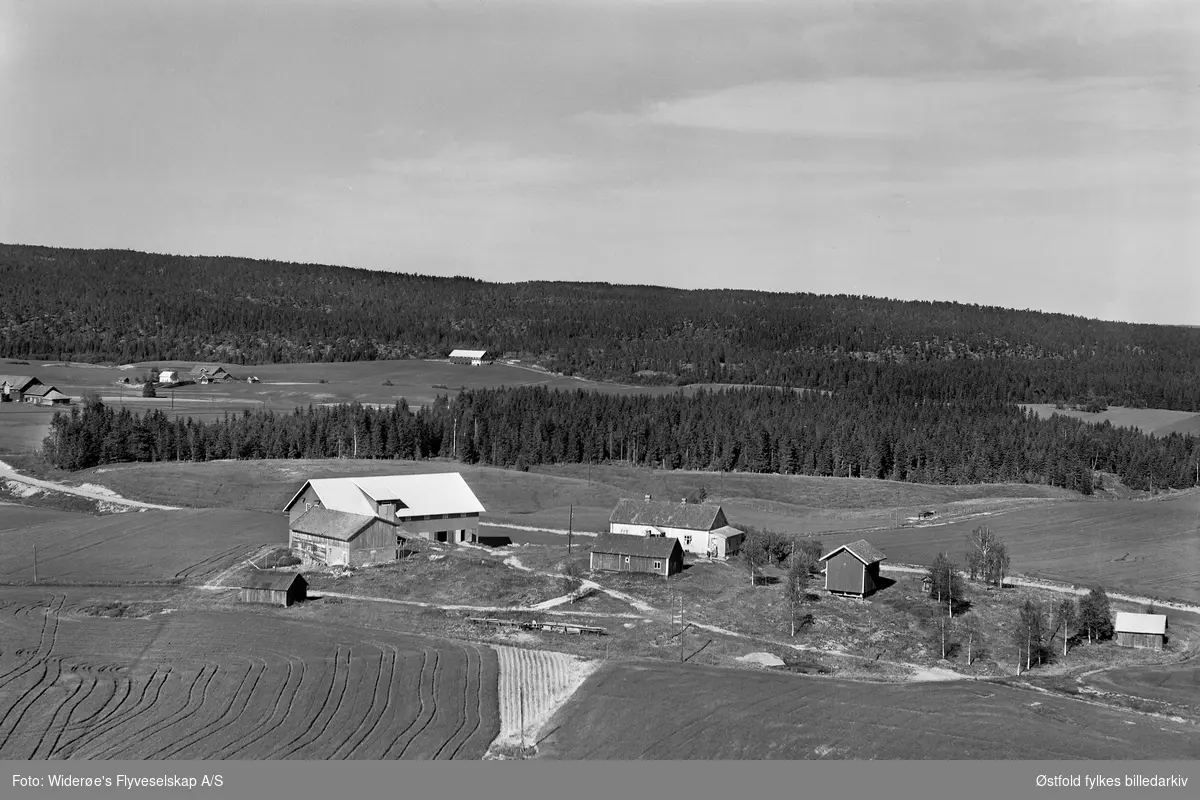 Oversiktsbilde over Løvestad gårdsbruk i Trøgstad, flyfoto juni 1956.