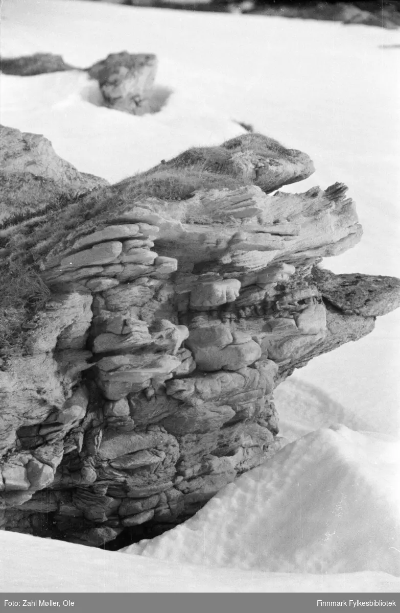 Fotoserie fra Vadsø, april 1968. Fotografert av Vadsøfotografen Ole Zahl-Mölö. Vårløsning. En steinformasjon med mose og lav titter frem av snøen.