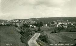 Postkort med motiv fra mysen. Kortet er sendt til Barth i Os