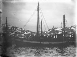 Fiskeskøyte Reg. W324