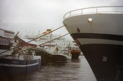 Loddesesong i Honningsvåg. I bakgrunnen Hurtigruta ved kaia.