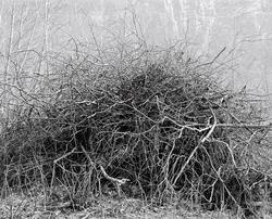 1983-04-08 [Fotografi]