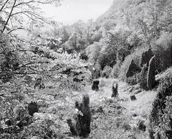 1982-47-04 [Fotografi]