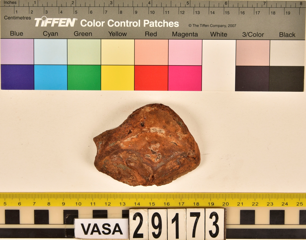 Ben från nötkreatur (Bos taurus).
1 st. del av kranium (os occipitale).