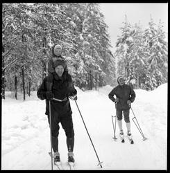Familieskidag ved Skienhallen.