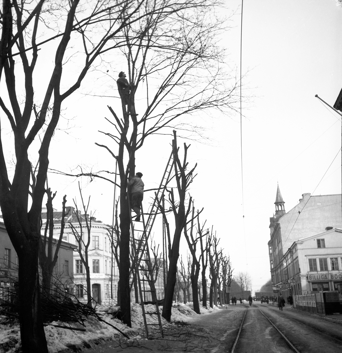 Nygatan mot Öster. Februari 1939. Reportage för Norrlandsposten