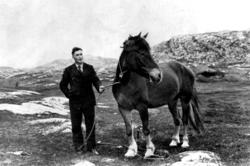 Toralf Storsul med hest