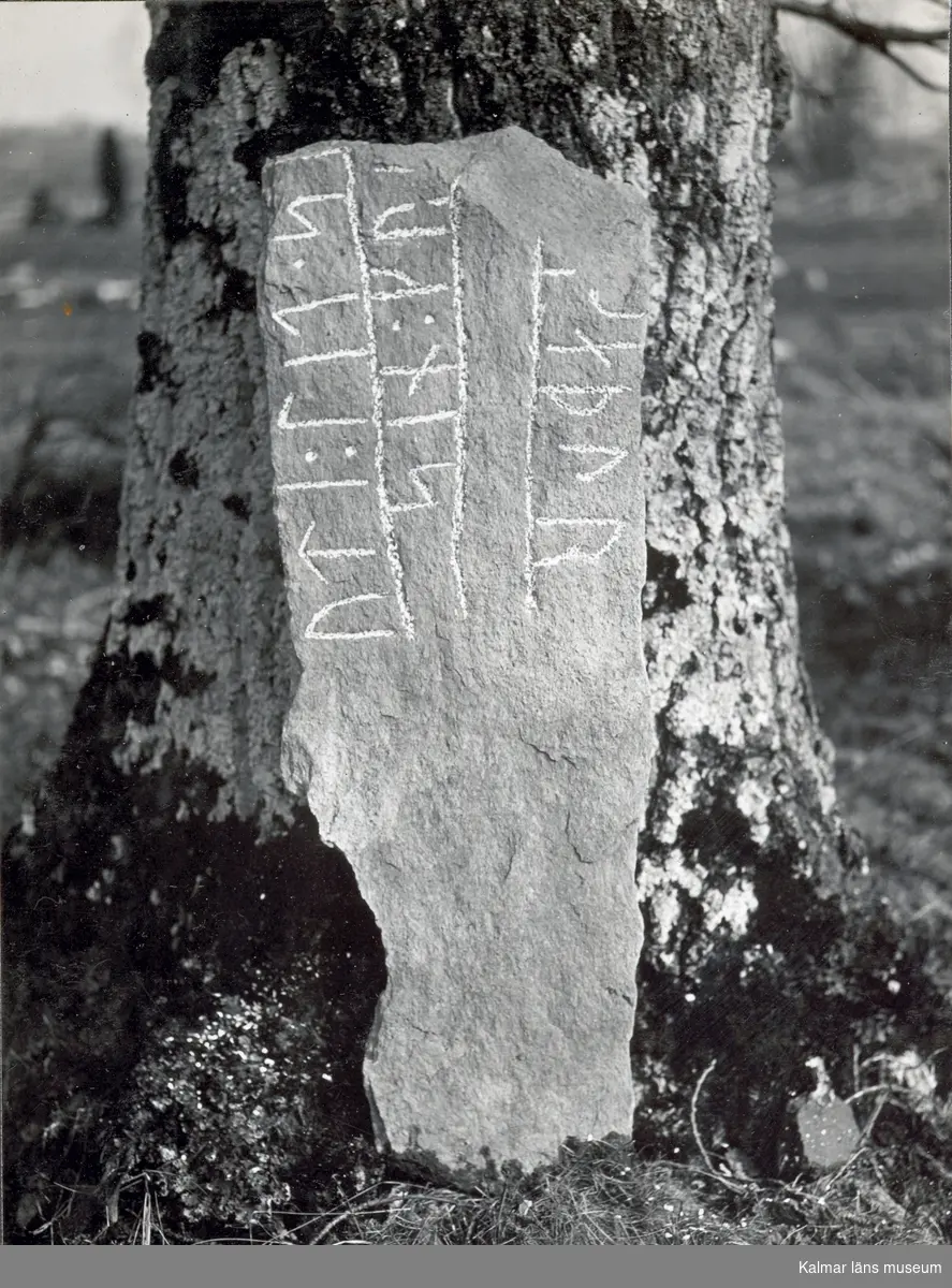 En runsten, som står lutad mot ett träd. Runstenen är Sm 155 från Bötterum i Långemåla socken.