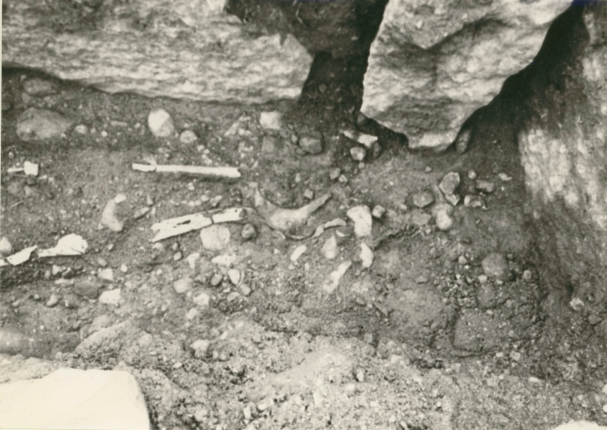En hällkista med mänskliga kvarlevor, som påträffades vid utgrävning av Störlinge gravfält.
