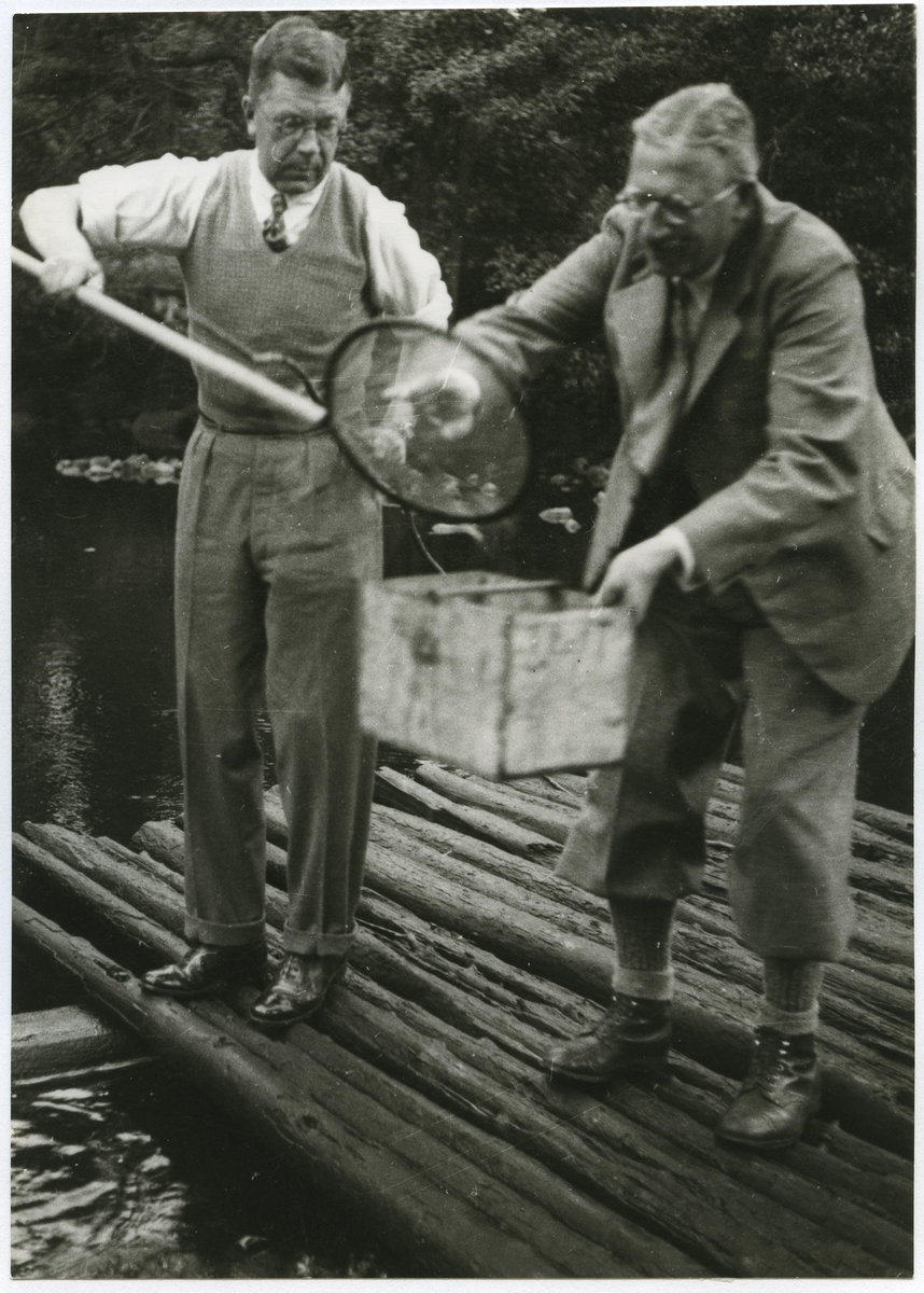 Gustav VI Adolf t v fiskar kräftor vid Emån omkring 1935-1945.