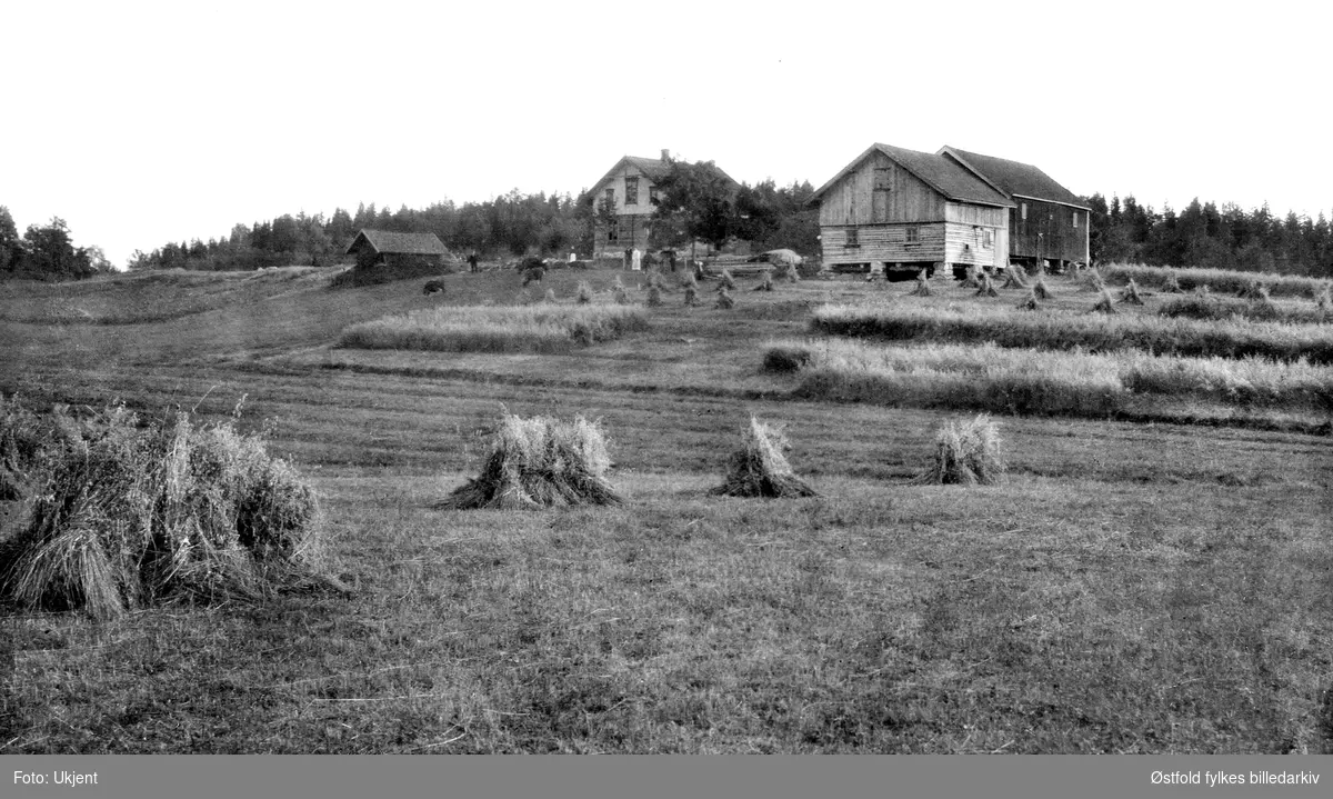 Gården Snoppestad  gnr 24 (3024) bnr 2 i Varteig ca. 1910-20. Fotografert fra nordvest. Våningshuset er påbygd, kjeller til venstre står lik i dag, mens låve og fjøs er revet. 
Det laftede fjøset er ikke kledd. Det var vanlig å la laft stå til tørk før man kledde veggene. I forgrunnen ser vi kornnek som er satt til tørk i røker.
Gårdens folk er med på bildet.