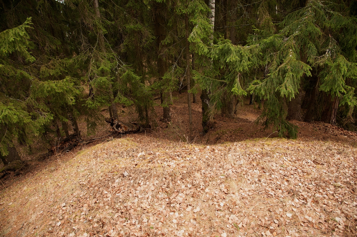 Fra toppen av gravhaugen på Hovinsholmen, Helgøya, Hedmark. En kan se spor etter den sammenraste sjakten fra siste utgraving. Haugen er stor med en høyde på 6 meter og diameter på 35 meter.