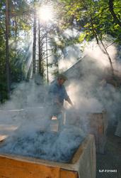 Varmrøyking av fisk i Norsk Skogmuseums friluftsamling på Pr