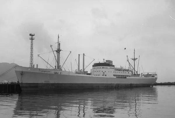 Eksport av fiskefilet mm med Lyngenfjord