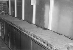 Pakking og distribusjon av Adresseavisen om morgenen