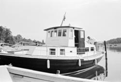 Arve Opsahl, Illustrert