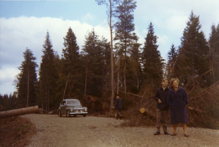 Heljesgården, Bolum.
Efter stora stormen år 1969.