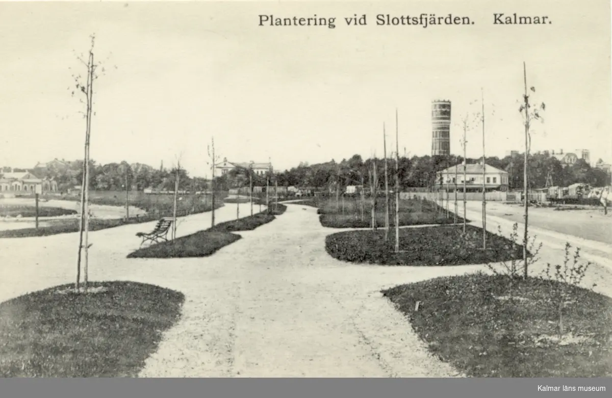 Plantering vid Slottsfjärden. Kalmar.