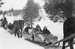 Bryllup, personer, hest, slede, naturforhold.