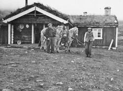 Hester, personer, seterhus.