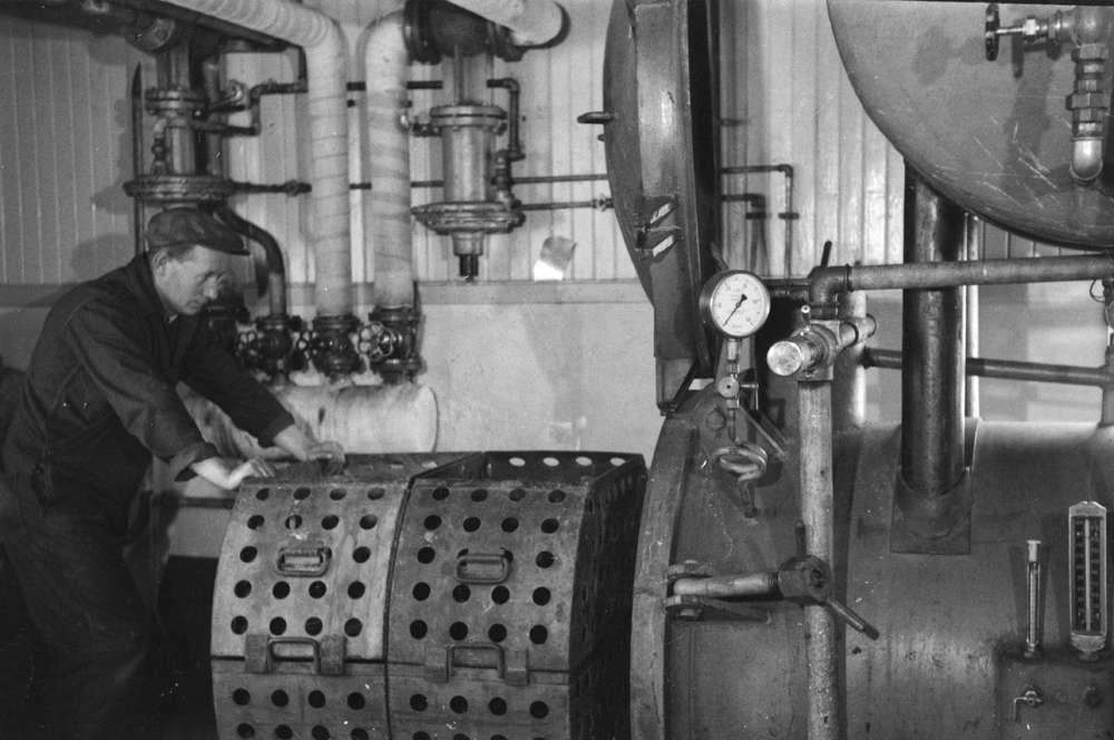 Fra produksjonen ved Levendefisk.