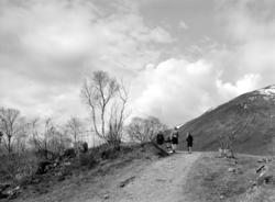 Fint landskapsbilde som viser en kvinne og tre barn på fjell