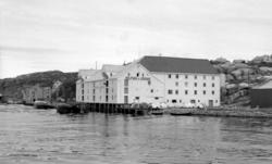 Rolfsen &amp; Lossius, Milnbrygga, på Gomalandet i Kristians