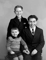 Magne, Martig og Paul Rotås. Gruppebilde av 3 brødre. Fra No