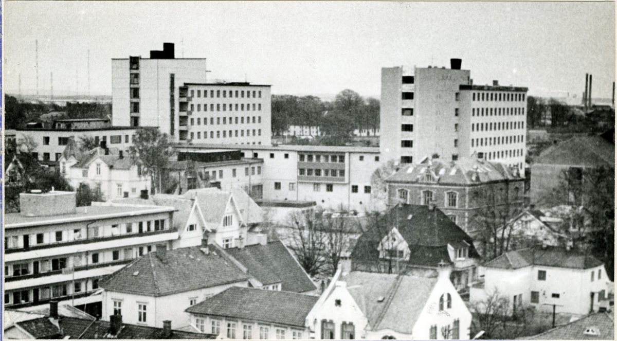 Sentralsykehuset (SØF)

A-blokka (til venstre), tatt i bruk 1956, C-blokka (i midten), tatt i bruk 1983, B-blokka (til høyre), tatt i bruk 1970.. Dronningens gate 9 (nederst i bildekant til høyre)
Fredrikstad Handelsgymnasium (tidl. Pikeskolen)

Cicignon

Cicignongaten

Kongens gate

Dronningens gate
