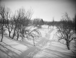 Fjellandskap, hytte, gangveg til hytta oppmåket i djup snø