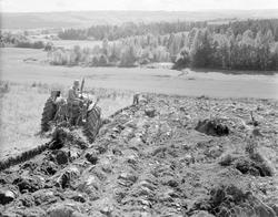 Norsk landbruks jubileumsutstilling 1959. Pløying av utmark,