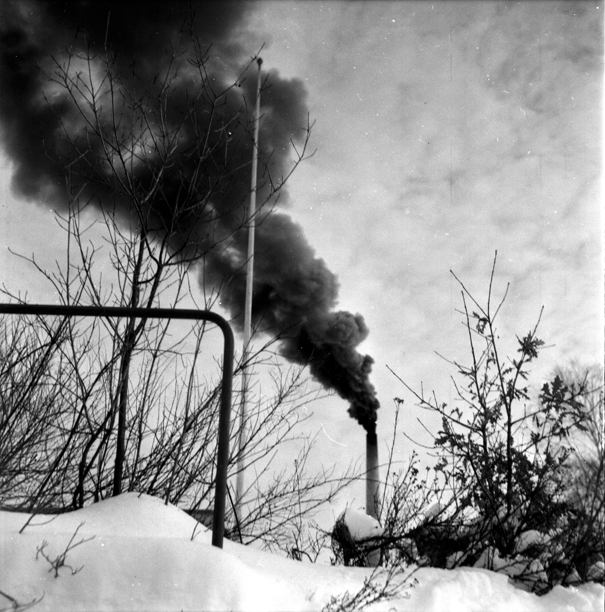 Bollnäs,
Mejeriet,
Rök från skorstenen,
1 Mars 1960