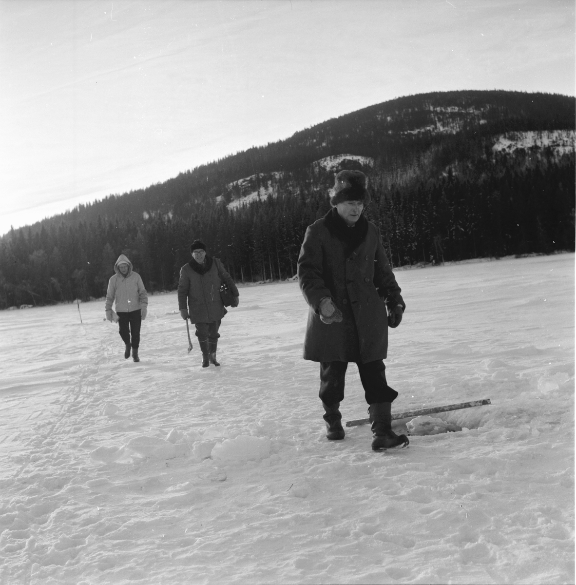 Ljusdal,
Sikfiske på Hennansjön,
Viksten, Sandbäck mfl.
6 Jan 1965