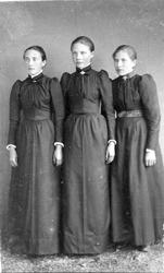 Anna Olsen, Kastnes. Lina Olsen, Kastnes. Olga Rochmann, Eid