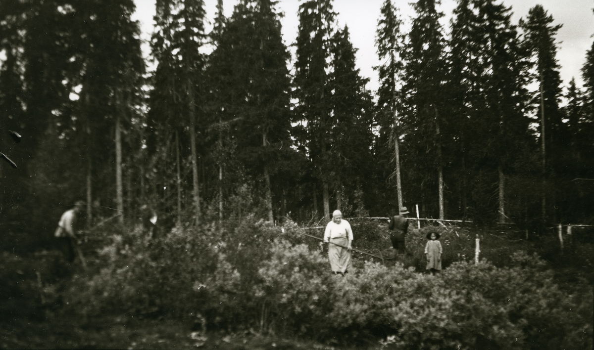 Ingvar Galaasen (med ryggen til ) (3/8 1880 - 1969), Målfrid (el. Ingebjørg) Galaasen (21/2 1914), Karen Galaasen (8/6 1869 - 1959). Til venstre: Gustav Galaasen (?) (26/3 1876 - 1940) På utslått, Galåsen.