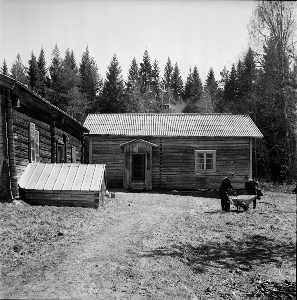 Dalsjön,
Röjning vid Dalsjögården,
Per Nilsson krattar,
Maj 1972